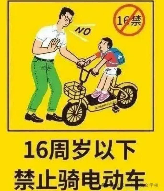 Ͻѧе綯ѧĸҳ